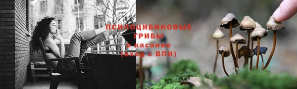 трава Богданович